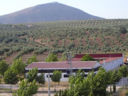 imagen escuela de equitación en lucena córboba