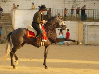Centro ecuestre en lucena córboba